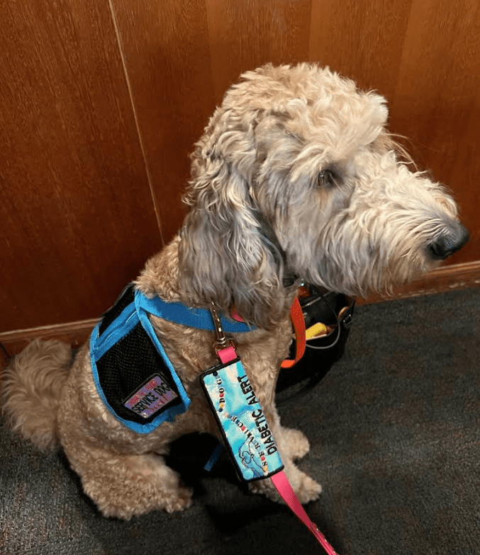 Screenshot 2025-10-24 181911