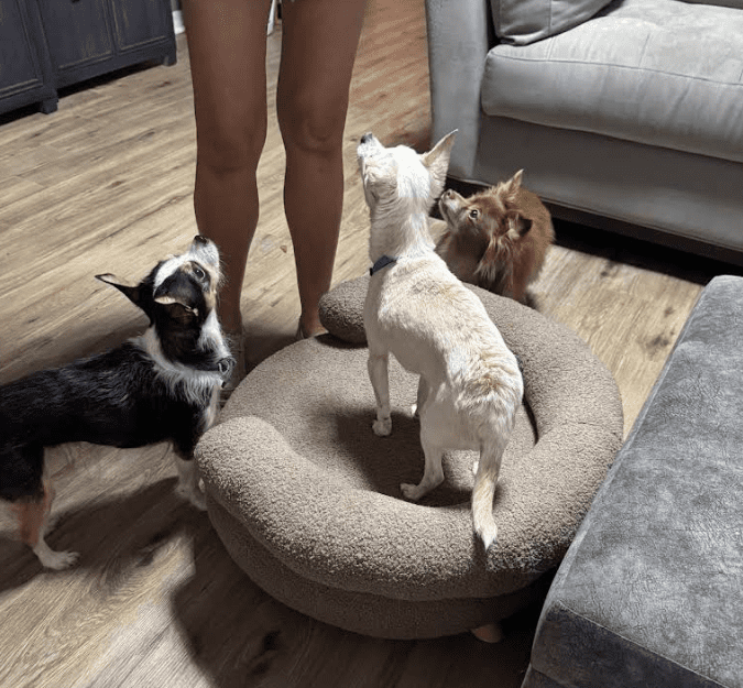 Screenshot 2025-10-24 181933