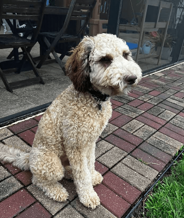 Screenshot 2025-10-24 181945