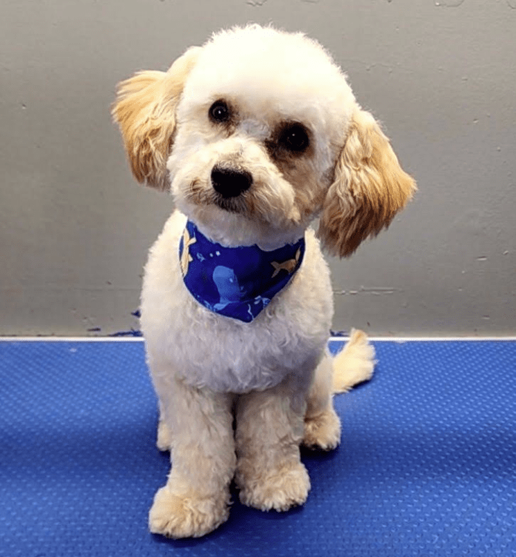 Screenshot 2025-10-24 182104