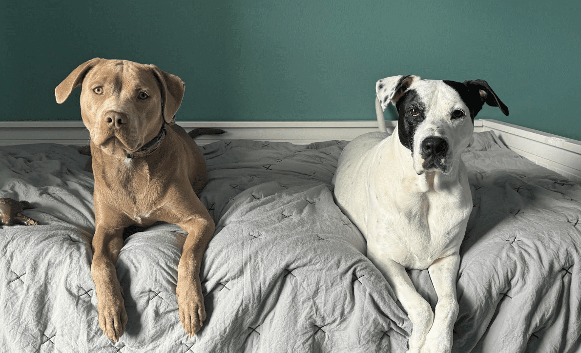 Screenshot 2025-10-24 182143