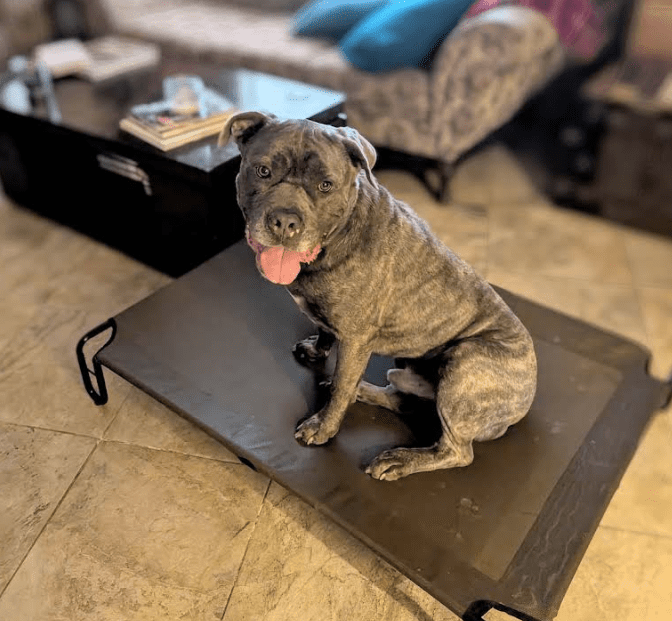 Screenshot 2025-10-24 182201