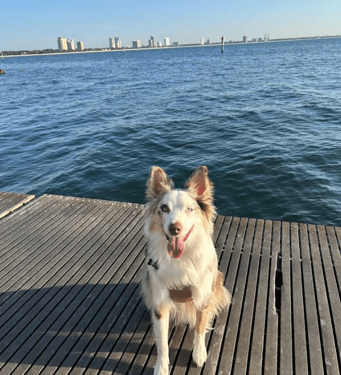 Screenshot 2025-10-24 182231