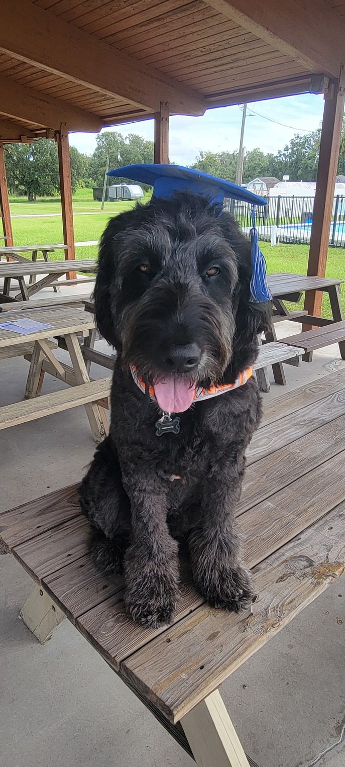 greater tampa samson